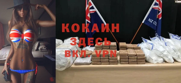 прущие грибы Новозыбков