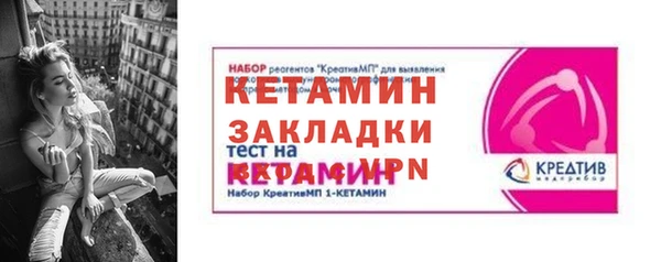 прущие грибы Новозыбков