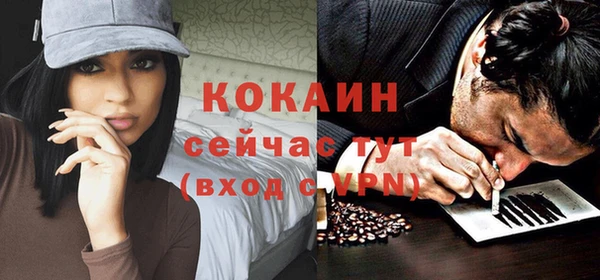 хмурый Абаза