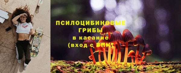 бошки Абинск