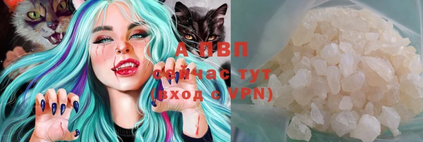 хмурый Абаза