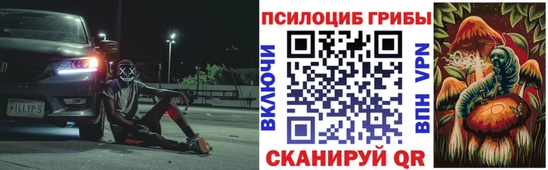 Псилоцибиновые грибы Magic Shrooms  даркнет клад  Алейск  MEGA tor 