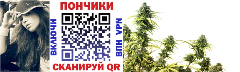 гидра   Алейск  Конопля Bruce Banner  наркотики 